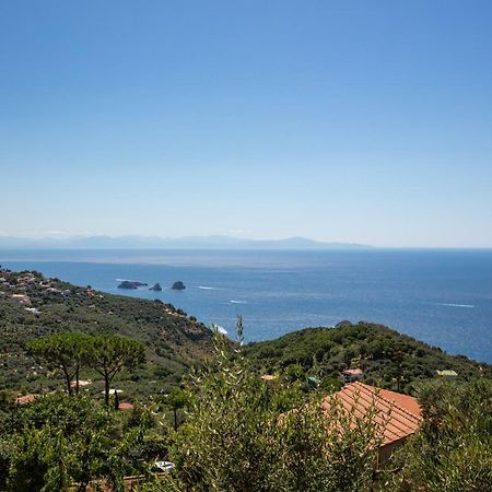 Geca'S House - Panoramic Sea View Studio Massa Lubrense Εξωτερικό φωτογραφία