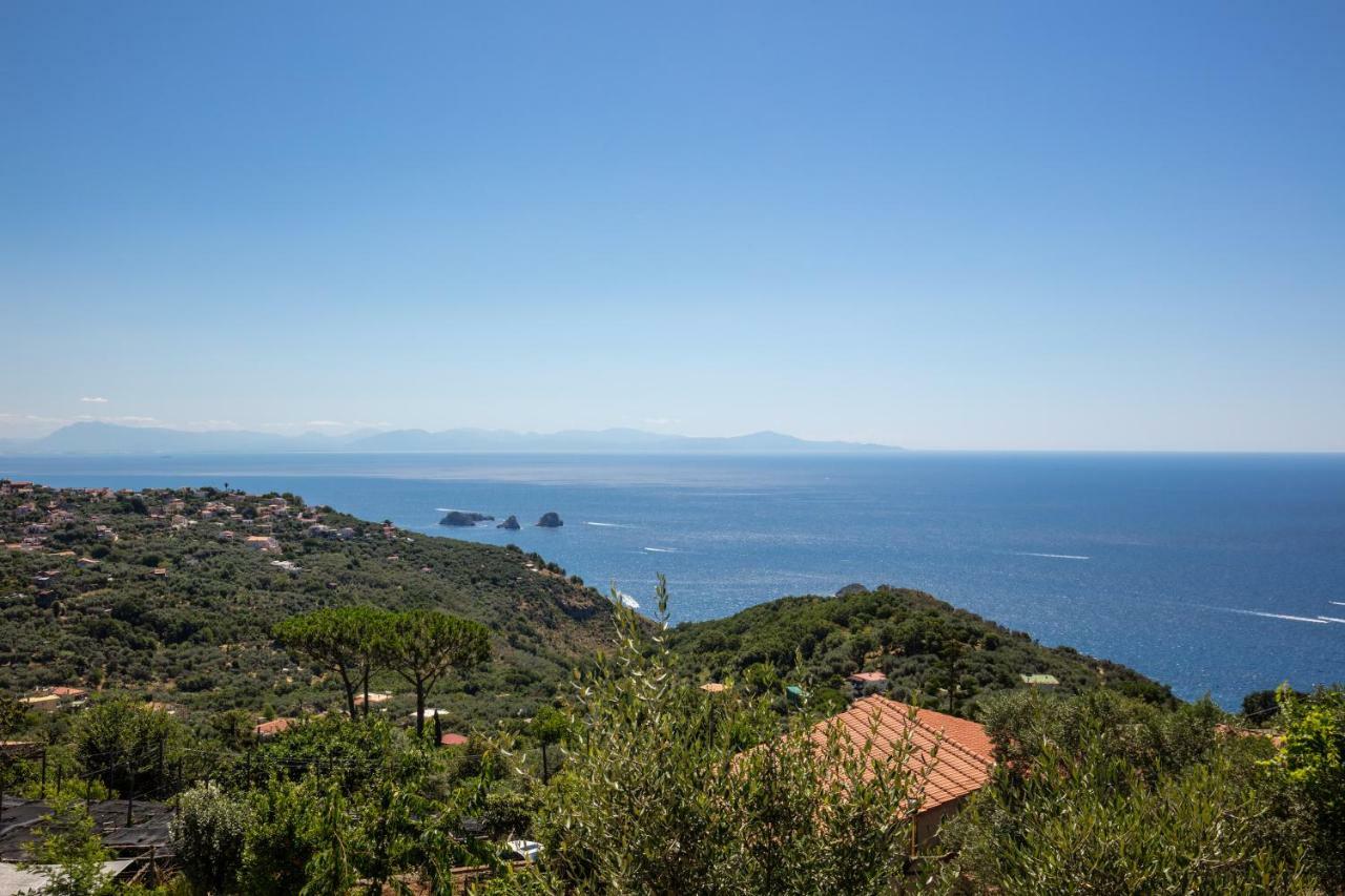 Geca'S House - Panoramic Sea View Studio Massa Lubrense Εξωτερικό φωτογραφία